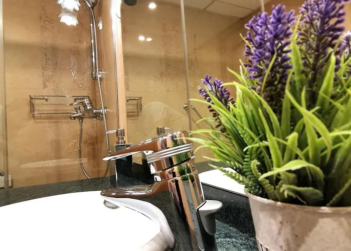 El Olivo * Saragoça